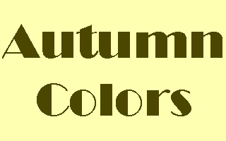 Autumn Colors Screenshot #5