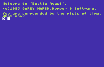 Beatle Quest Screenshot