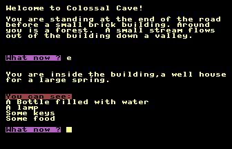 Colossal Cave Screenshot