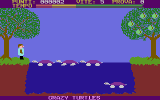 Crazy Turtles (C16/MSX 36)