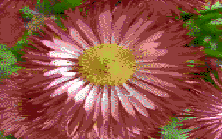 Flowers 2 Screenshot