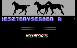 Horse 2 Screenshot