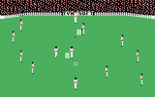 Ian Botham's Test Match Screenshot