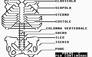 Impariamo A Conoscere Le Ossa Screenshot