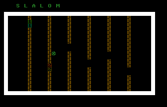 Slalom (Dutch) Screenshot