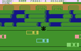 The Frog (Basic) - Game Screen