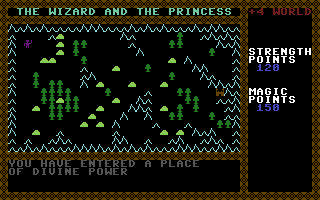 The Wizard And The Princess Screenshot #2
