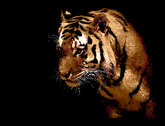Tiger Beautiful Animal Screenshot