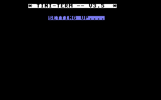 Tini-term Title Screenshot