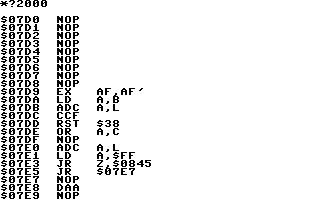 Z80 Disassembler Screenshot