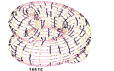 Golden Disc 015